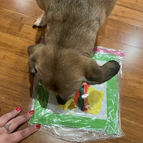 “Burger&Fries” Acrylic Painting by Talented Dachshund - Picture 3 of 8